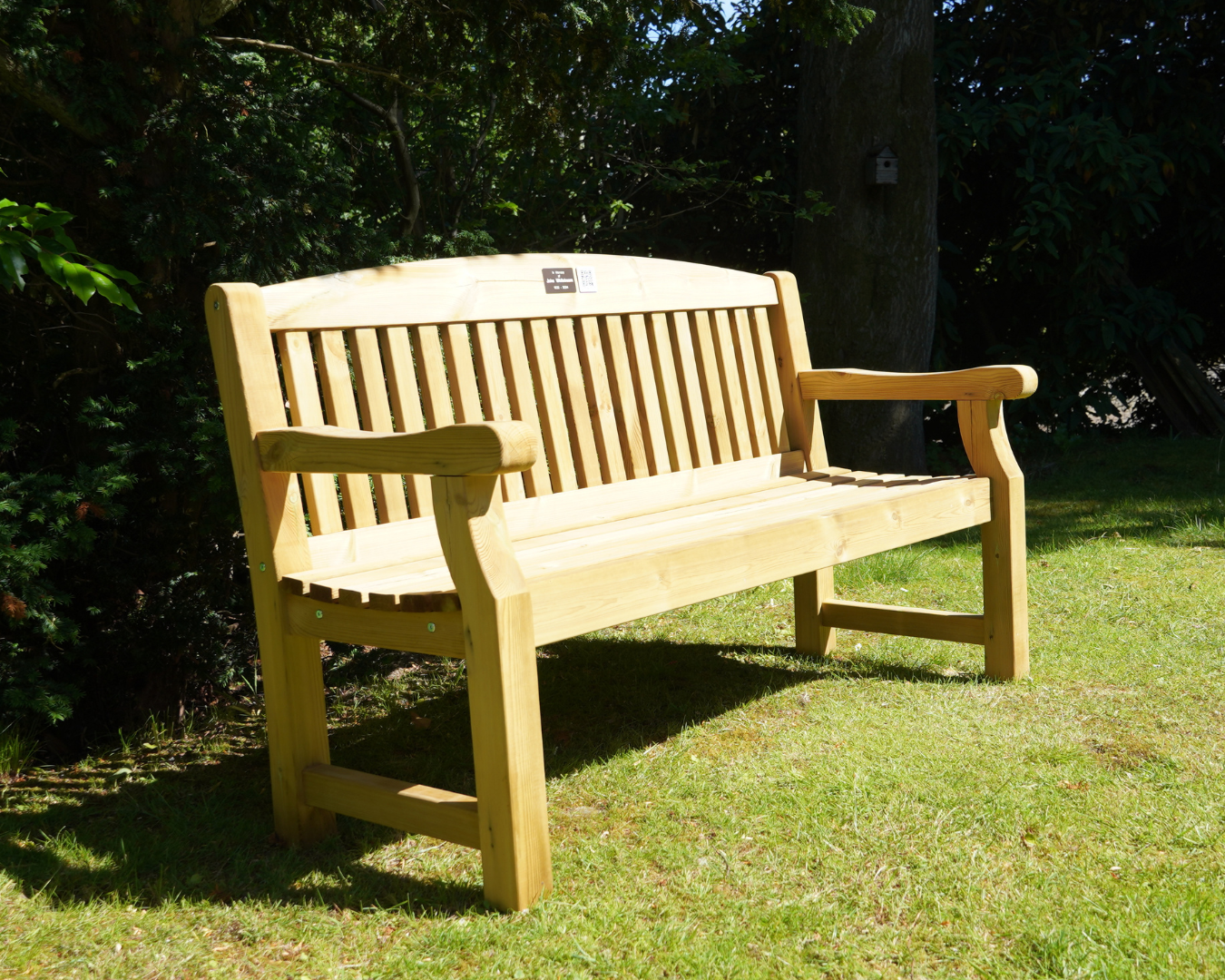 Medium (5ft)