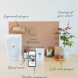 Sapling Memorial Set